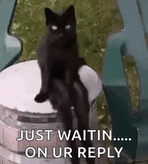 A Black Cat Is Sitting On Top Of A Wooden Barrel And Waiting For A Reply .
