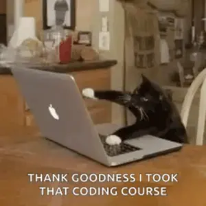 A Black And White Cat Is Sitting In Front Of A Laptop Computer .