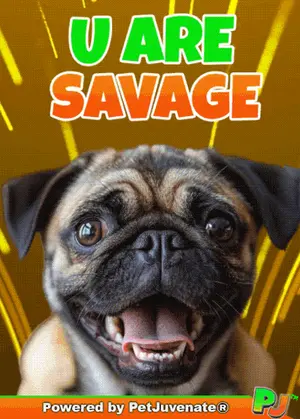 A Pug Dog Is On A Poster That Says U Are Savage Powered By Petjuvenate