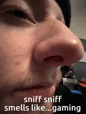 A Close Up Of A Person 'S Nose With The Words Sniff Sniff Smells Like Gaming