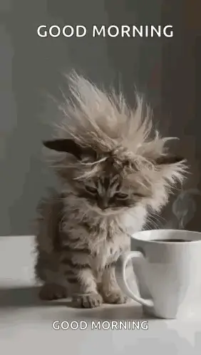 A Kitten Is Sitting Next To A Cup Of Coffee .