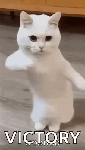 A White Cat Is Standing On Its Hind Legs And Pointing At The Camera .