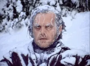 A Man With Ice On His Face Is Standing In A Snowy Field