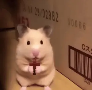 A Hamster Is Holding A Cross In Front Of A Cardboard Box With The Date 23/02982