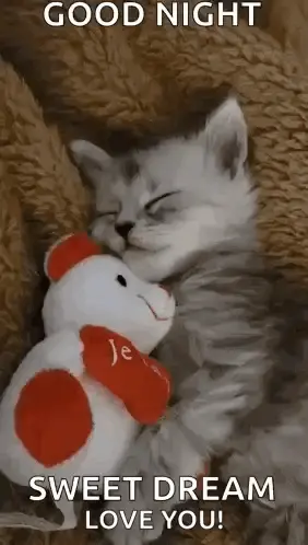 A Kitten Is Sleeping With A Teddy Bear And A Good Night Message .