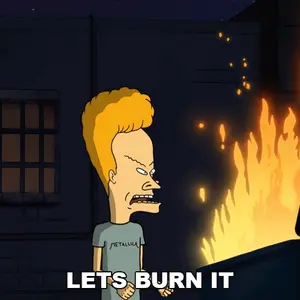 Beavis From Beavis And Butthead Is Standing In Front Of A Fire With The Words Let 'S Burn It Below Him