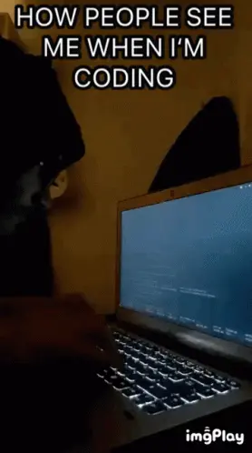 How People See Me When I 'M Coding With A Laptop In The Foreground
