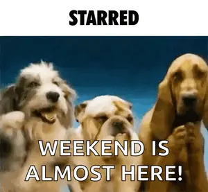 A Picture Of Three Dogs With The Words Starred Weekend Is Almost Here Below Them