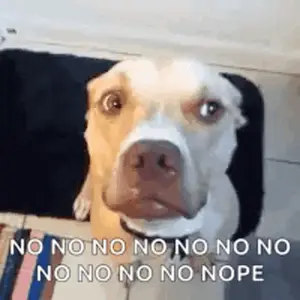 A Dog Is Looking At The Camera With A Caption That Says `` No No No No No No No No No Nope '' .