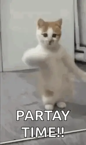 A White And Brown Cat Is Standing On Its Hind Legs And Holding Its Paw In The Air .