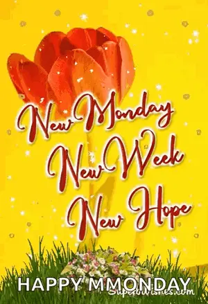 A Yellow Background With A Red Flower And The Words `` New Monday New Week New Hope '' .