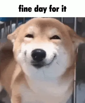 A Picture Of A Dog With The Words Fine Day For It