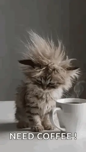 A Fluffy Kitten Is Sitting Next To A Cup Of Coffee With Its Hair Blowing In The Wind .