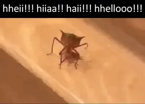 A Close Up Of An Ant Crawling On A Surface With The Words `` Helloo '' Written On It .