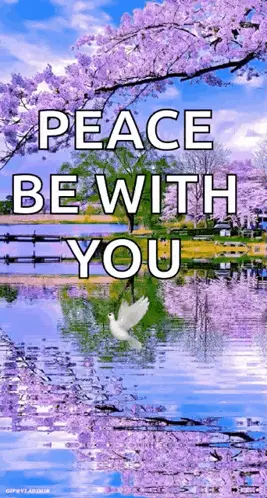 A Dove Is Flying Over A Lake With Purple Flowers In The Background And The Words Peace Be With You