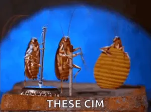 Three Cockroaches Are Standing Next To Each Other On A Brick With The Words These Cim Written On The Bottom .