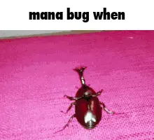 A Bug Is Crawling On A Pink Surface With The Words Mana Bug When Written Above It