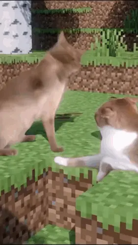 Two Cats Are Playing In A Minecraft World And One Of Them Is Laying On The Ground .