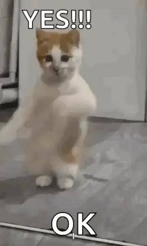A Cat Is Standing On Its Hind Legs And Says `` Yes ! ''