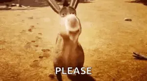 A Donkey Is Standing On A Dirt Field And Asking For Something .