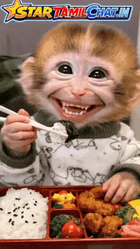 A Picture Of A Monkey Eating Food With A Star Tamil Chat.In Logo Above It
