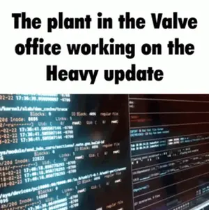 A Computer Screen With The Words " The Plant In The Valve Office Working On The Heavy Update " On It