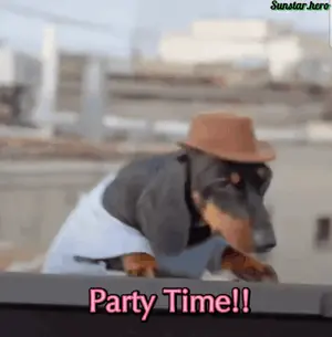 A Dachshund Wearing A Cowboy Hat And A Blue Shirt Says Party Time