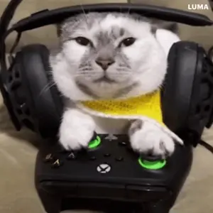 A Cat Wearing Headphones Is Playing A Video Game Controller