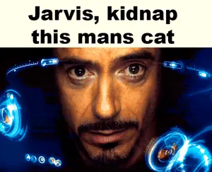 Jarvis Kidnap This Mans Cat Is Written Above A Picture Of A Man