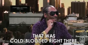 Snoop Dogg Says That Was Cold-Blooded Right There In Front Of A City Skyline