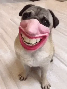 A Pug Dog Wearing A Pink Mask With Teeth