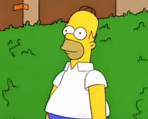 Homer Simpson Is Standing In A Grassy Field
