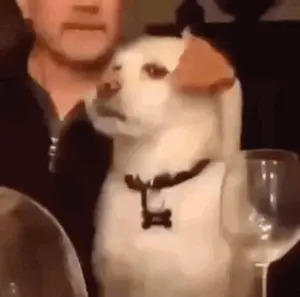 A Man And A Dog Are Sitting At A Table With A Glass Of Wine .
