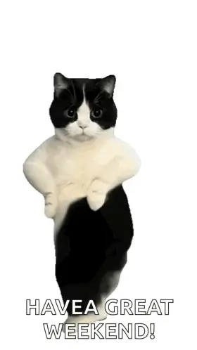 A Black And White Cat Is Sitting On A White Surface With The Words `` Have A Great Weekend '' Written Below It .