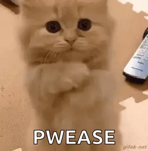 A Kitten Is Standing On Its Hind Legs And Looking At The Camera .