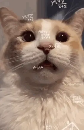 A Close Up Of A Cat 'S Face With Math Equations On It 'S Face .