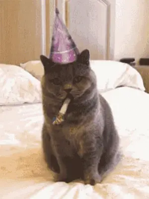 A Cat Wearing A Party Hat And Holding A Party Horn