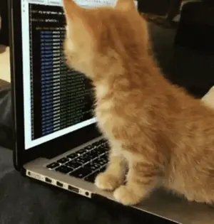 A Kitten Is Looking At A Laptop With A Bunch Of Lines Of Code On The Screen