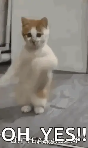A Cat Is Standing On Its Hind Legs With Its Paws Up .
