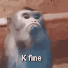A Monkey With A Sad Face And The Words `` K Fine '' On It 'S Face .