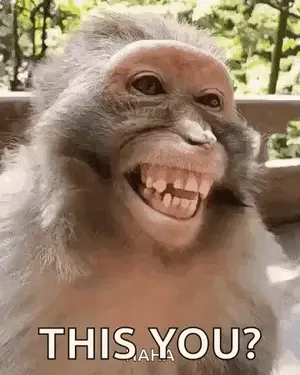 A Close Up Of A Monkey With A Big Smile On Its Face And The Words `` This You '' .