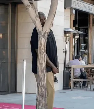 A Man Stands Behind A Tree In Front Of A Building That Says Fine Wine