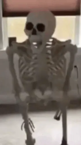 A Skeleton Is Sitting In Front Of A Window With Blinds .