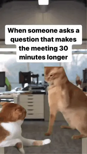 A Picture Of Two Cats With A Caption That Says " When Someone Asks A Question That Makes The Meeting 30 Minutes Longer