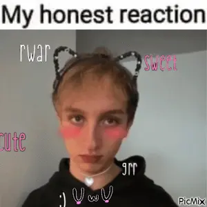 A Picture Of A Boy With Cat Ears And The Words " My Honest Reaction " On Top