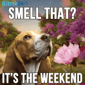 A Dog Smelling A Pink Flower With The Words " Smell That It 'S The Weekend "