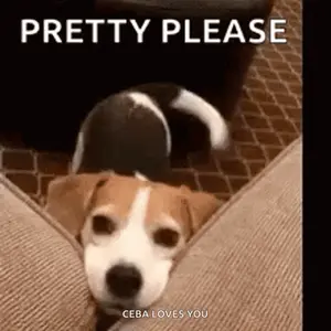 A Brown And White Dog Is Laying On A Couch With The Words Pretty Please Ceba Loves You Written Above It .