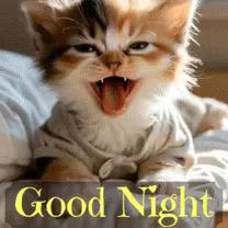 A Picture Of A Kitten With Its Mouth Open And The Words Good Night