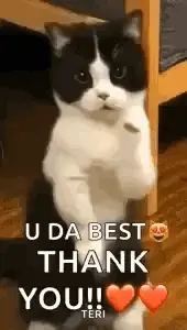 A Black And White Cat Is Standing On Its Hind Legs And Saying `` U Da Best Thank You '' .