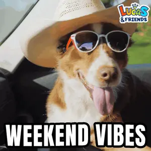 A Dog Wearing A Cowboy Hat And Sunglasses With The Words Weekend Vibes Below